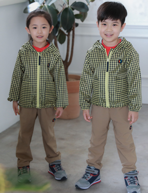ListImage1